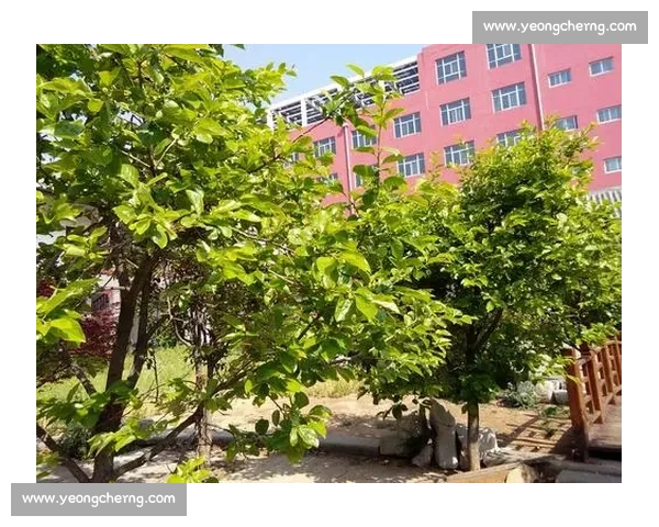 透视家庭情感纠葛的《我的孩子我的家》温情成长故事细腻展现亲情